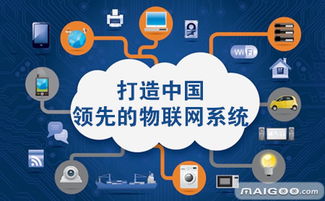 綠度股份品牌介紹 互聯(lián)網(wǎng)信息服務(wù)領(lǐng)域的卓越之選